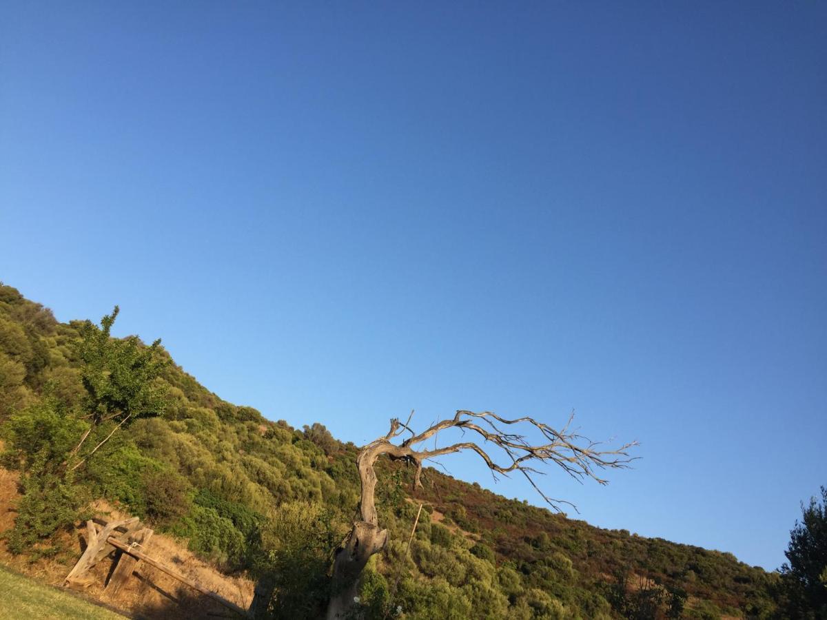 מלון טאולאדה Amalfatah מראה חיצוני תמונה